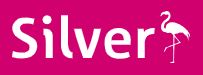 Silver Airways - Medium